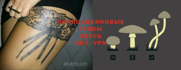 трава Беломорск