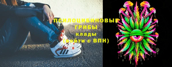 твердый Балахна