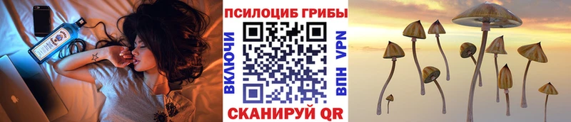Псилоцибиновые грибы Psilocybine cubensis  дарнет шоп  Кизел 